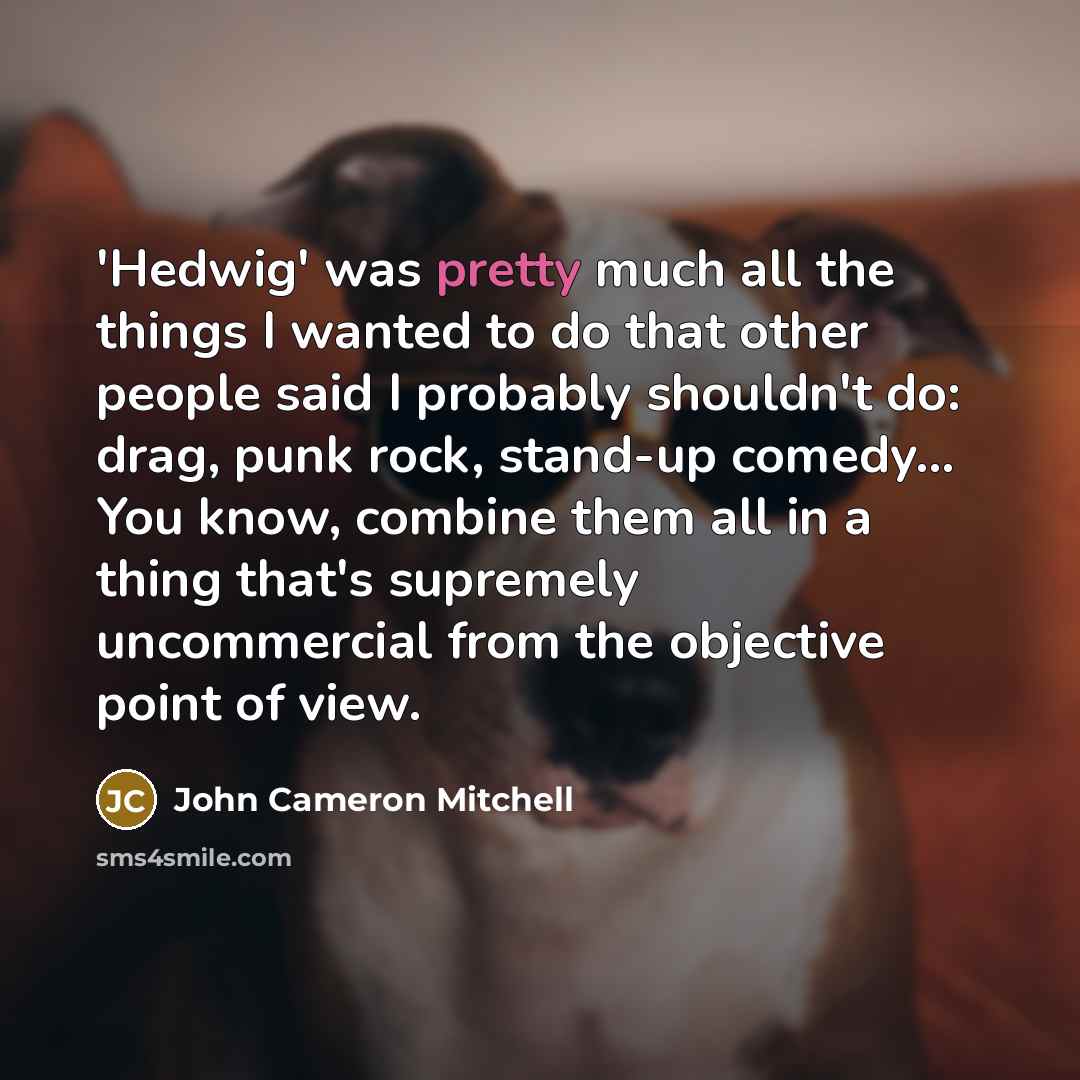 “'Hedwig' was pretty much all the things I wanted to…” quote by John Cameron Mitchell
