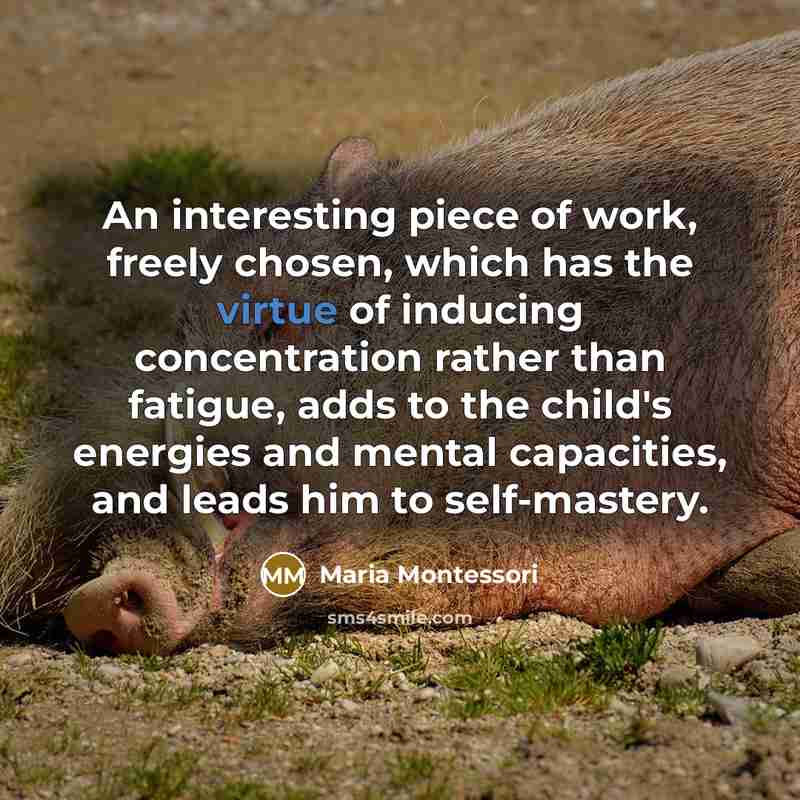 “An interesting piece of work, freely chosen, which has the…” quote by Maria Montessori