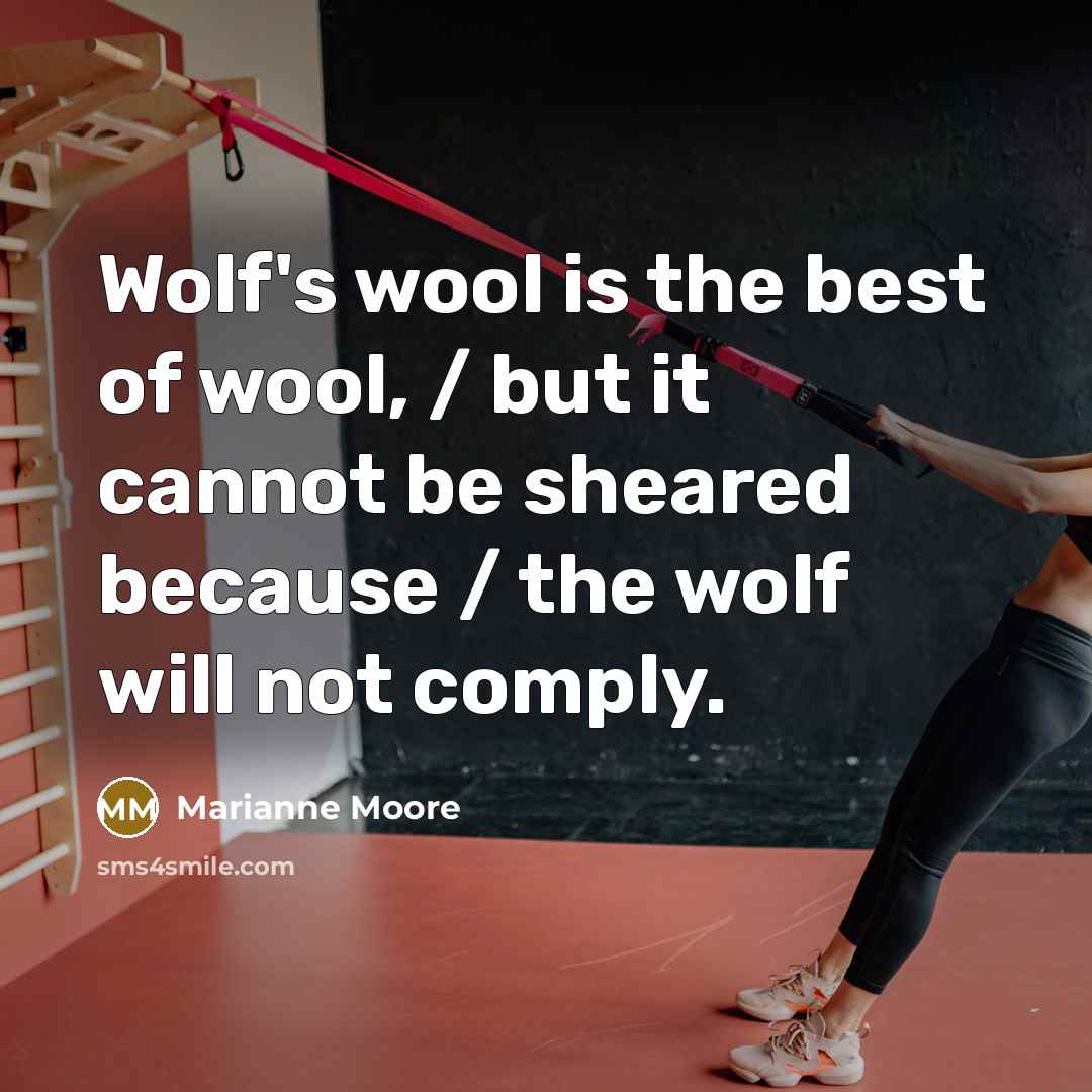 “Wolf's wool is the best of wool, / but it…” quote by Marianne Moore