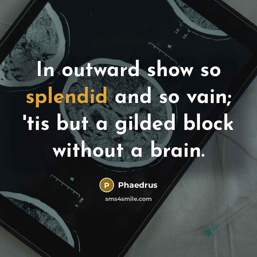 “In outward show so splendid and so vain; 'tis but…” quote by Phaedrus