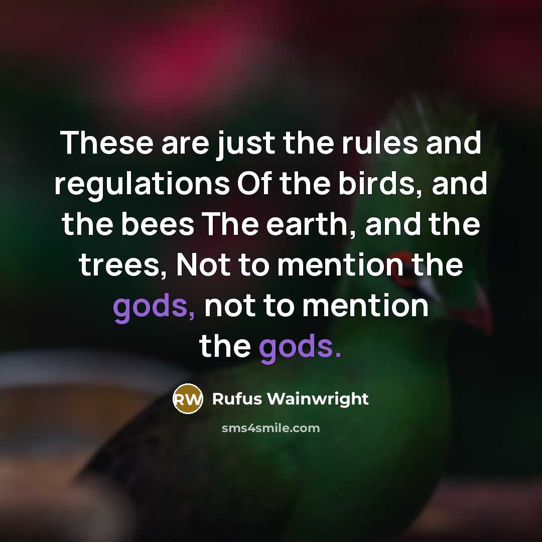 “These are just the rules and regulations Of the birds,…” quote by Rufus Wainwright
