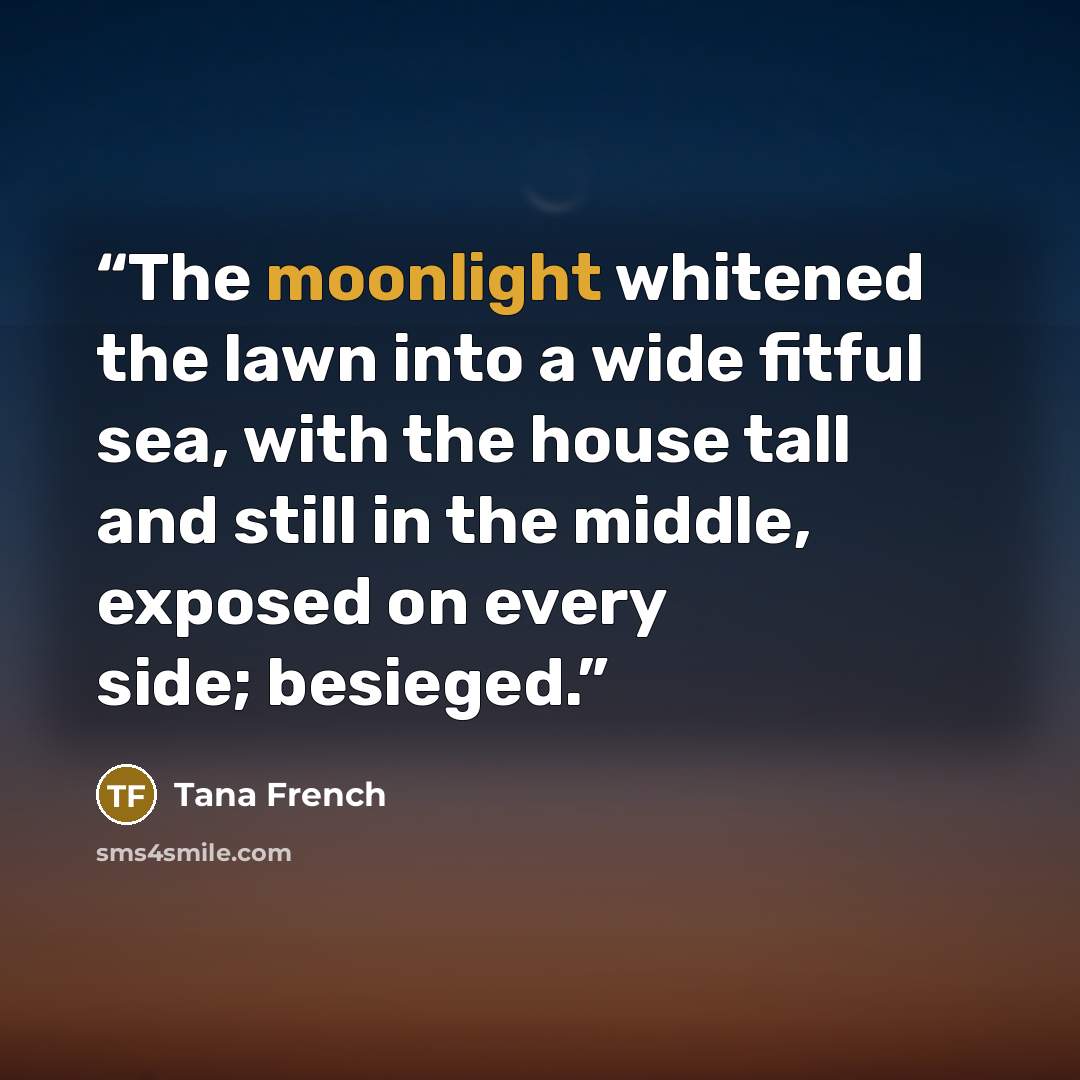 “The moonlight whitened the lawn into a wide fitful sea, with the house tall and still in the middle, exposed on every side; besieged.” quote by Tana French