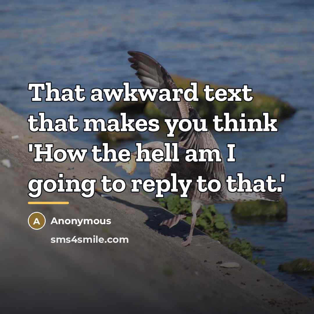 “That awkward text that makes you think 'How the hell…” quote by Anonymous