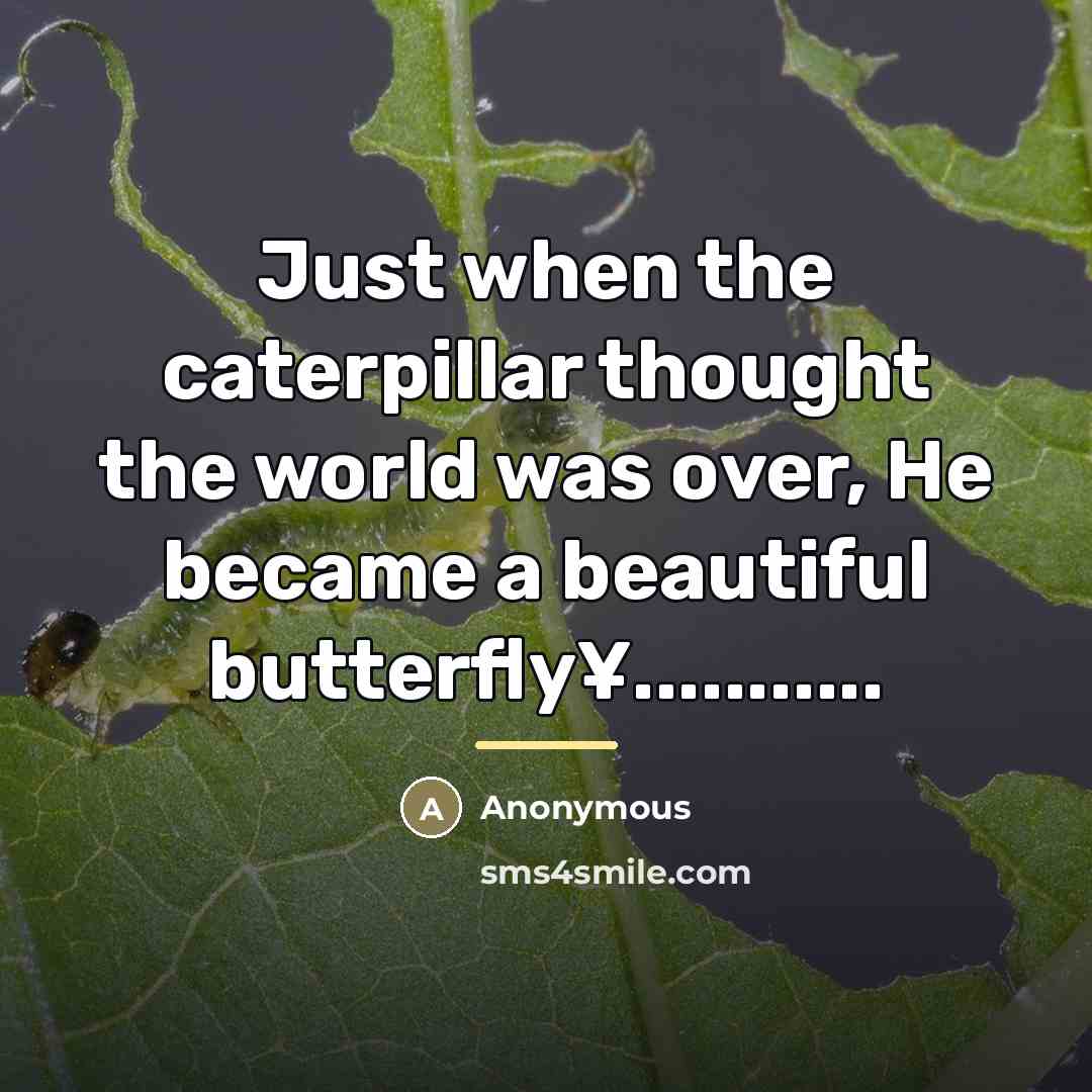 “Just when the caterpillar thought the world was over, He…” quote by Anonymous
