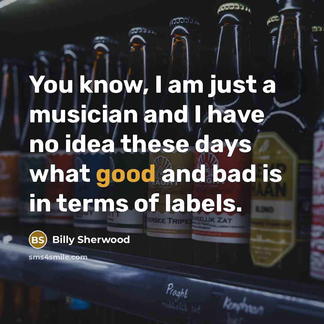 “You know, I am just a musician and I have…” quote by Billy Sherwood