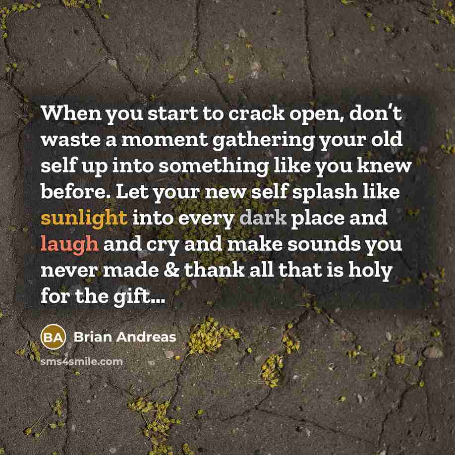 “When you start to crack open, don’t waste a moment…” quote by Brian Andreas