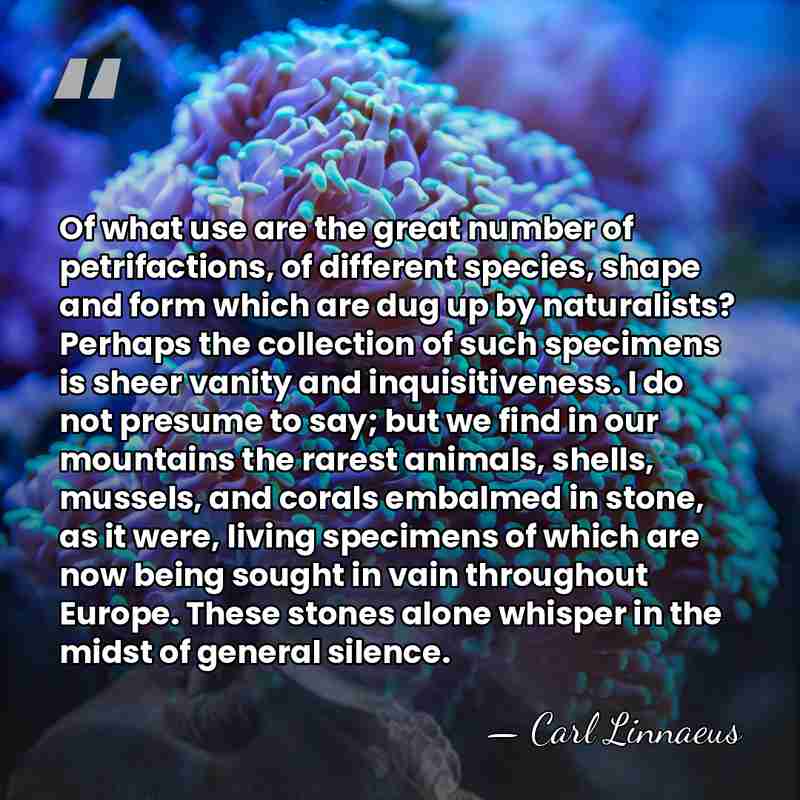 Of what use are the great number of petrifactions, of different species,&hellip; - Carl Linnaeus