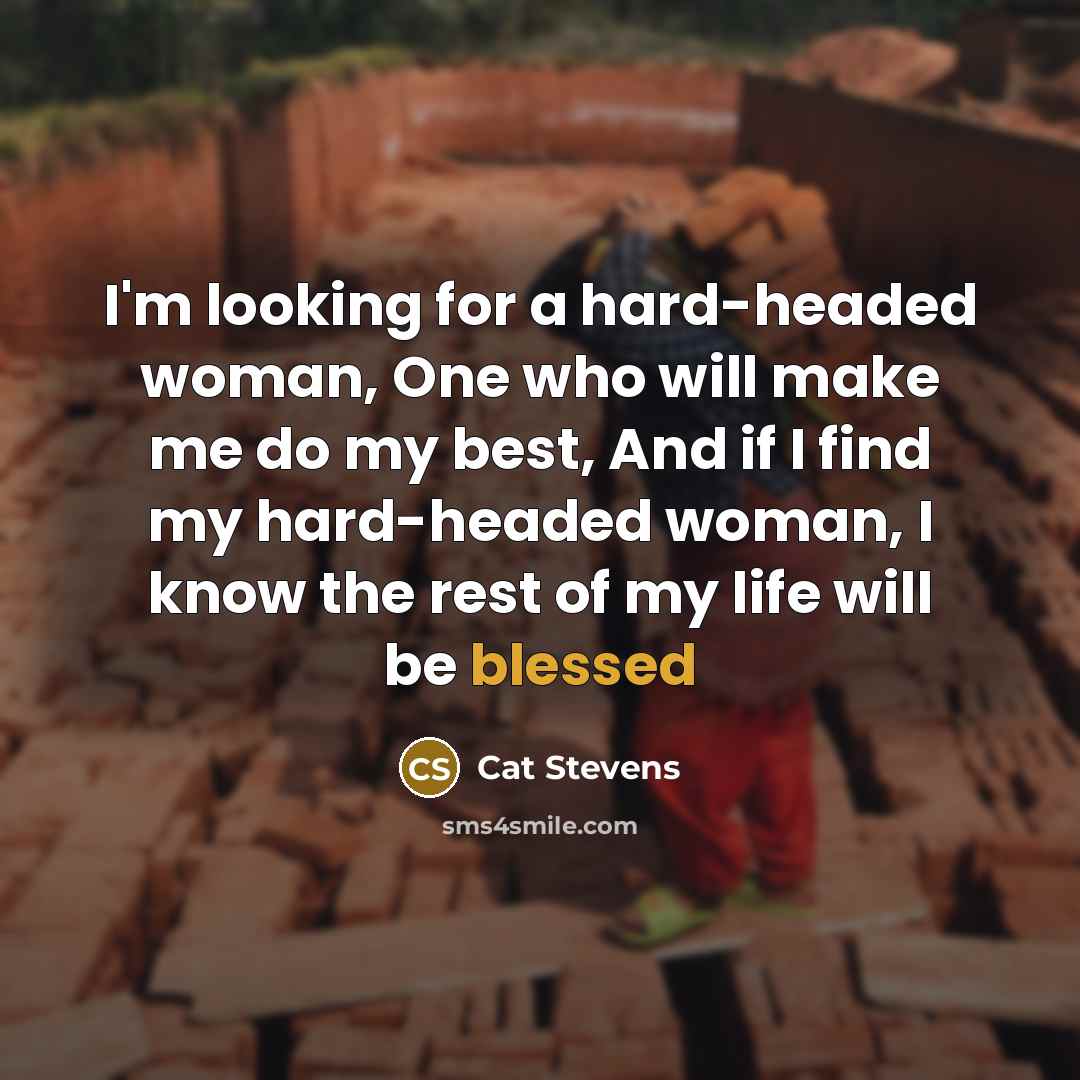 “I'm looking for a hard-headed woman, One who will make…” quote by Cat Stevens