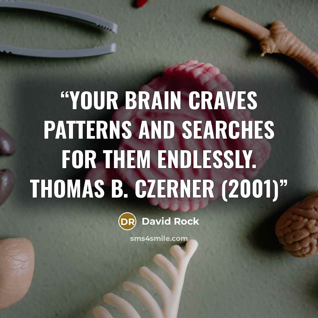 “Your brain craves patterns and searches for them endlessly. THOMAS B. CZERNER (2001)” quote by David Rock