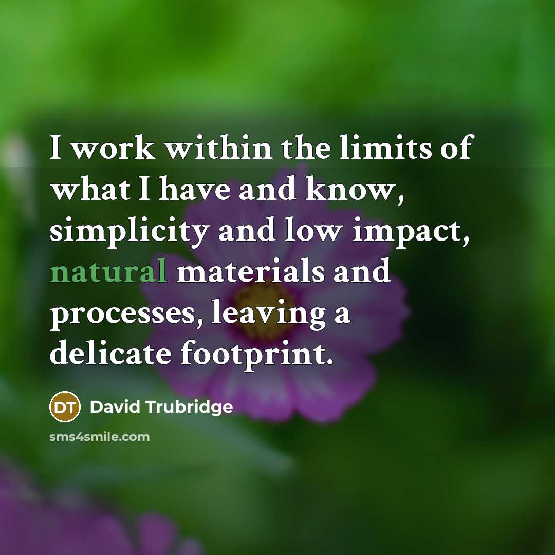 “I work within the limits of what I have and…” quote by David Trubridge