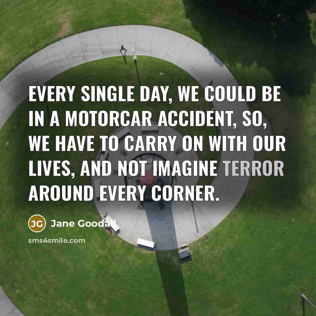 “Every single day, we could be in a motorcar accident,…” quote by Jane Goodall