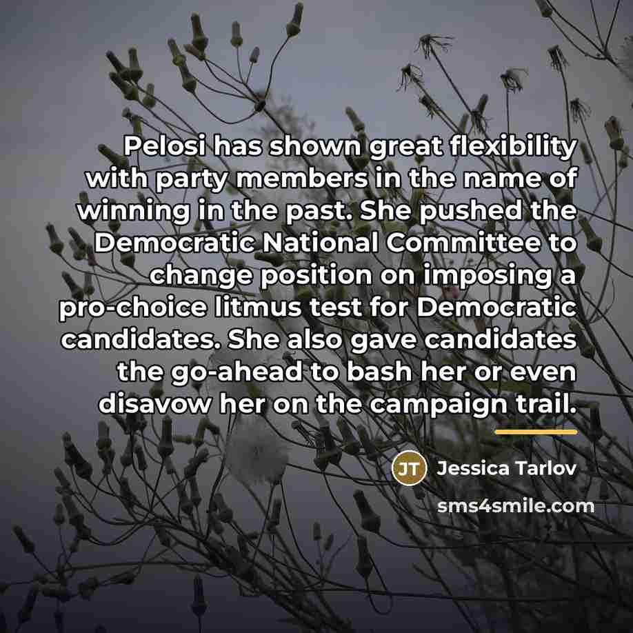 “Pelosi has shown great flexibility with party members in the…” quote by Jessica Tarlov