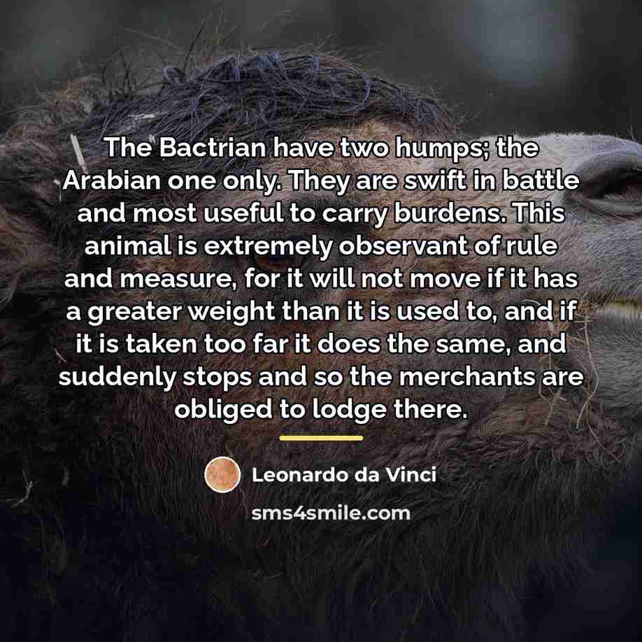 “The Bactrian have two humps; the Arabian one only. They…” quote by Leonardo da Vinci