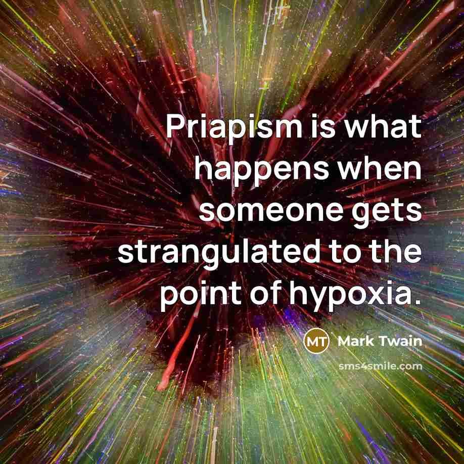 “Priapism is what happens when someone gets strangulated to the…” quote by Mark Twain