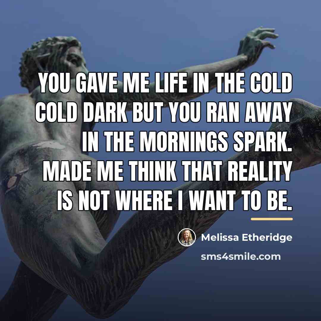 “You gave me life in the cold cold dark but…” quote by Melissa Etheridge