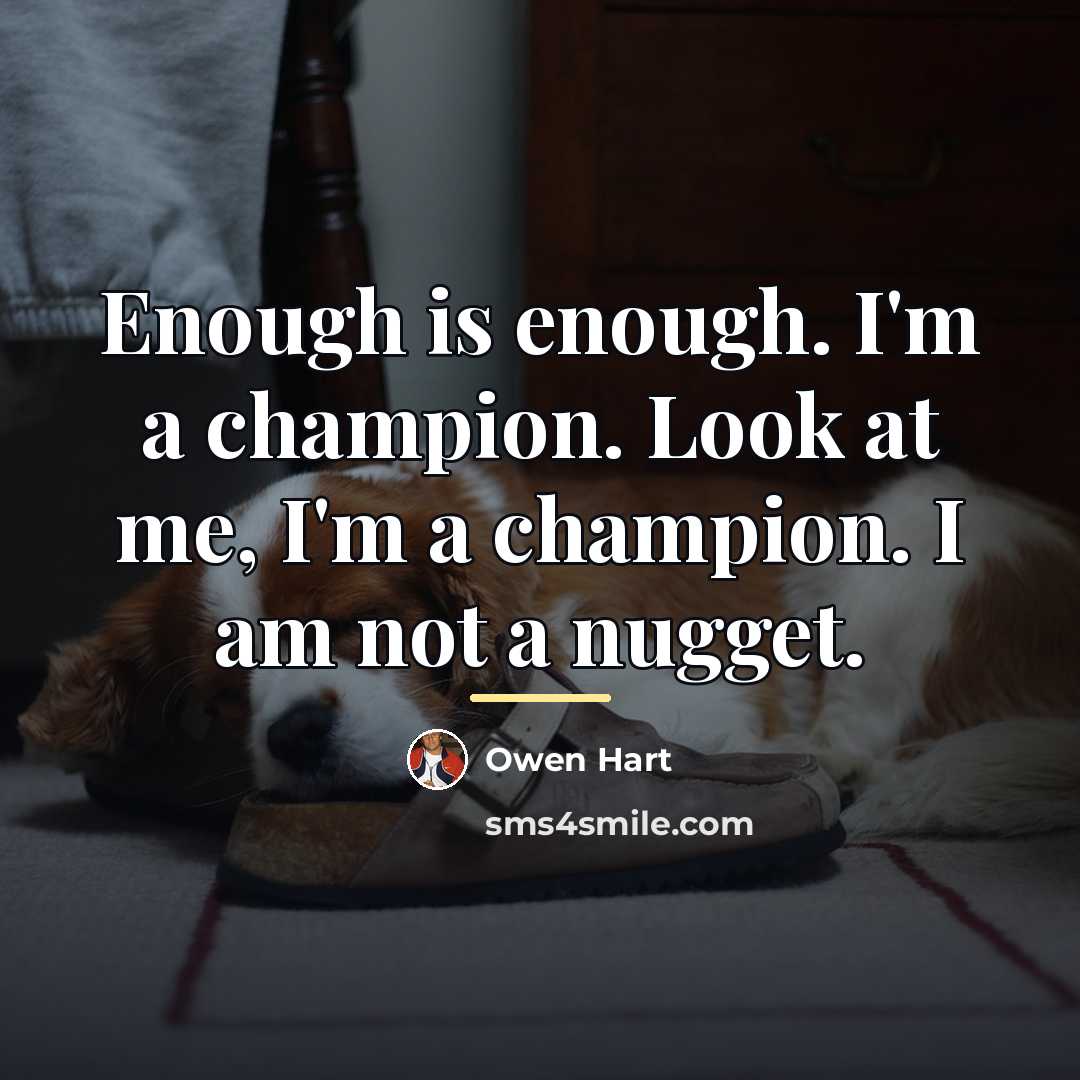 “Enough is enough. I'm a champion. Look at me, I'm…” quote by Owen Hart