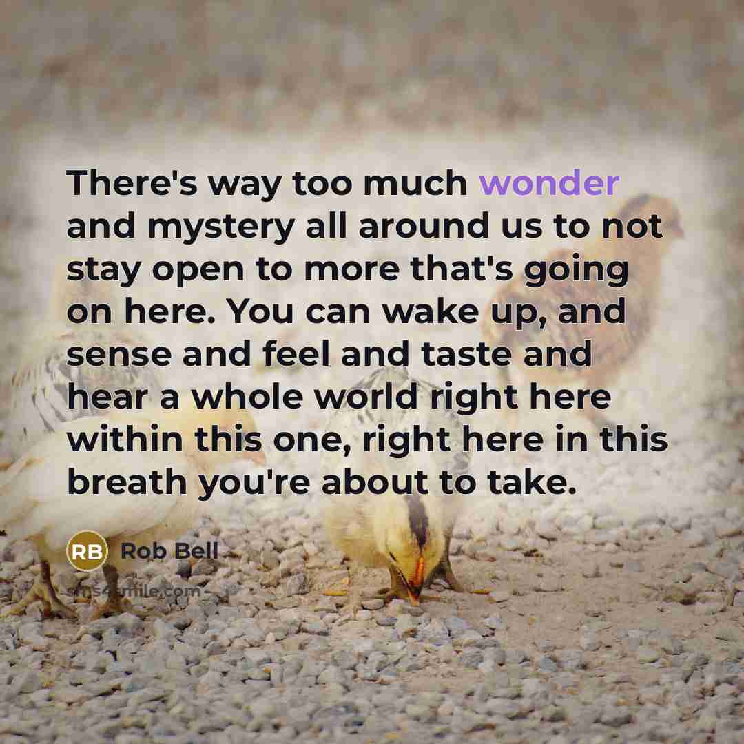 “There's way too much wonder and mystery all around us…” quote by Rob Bell