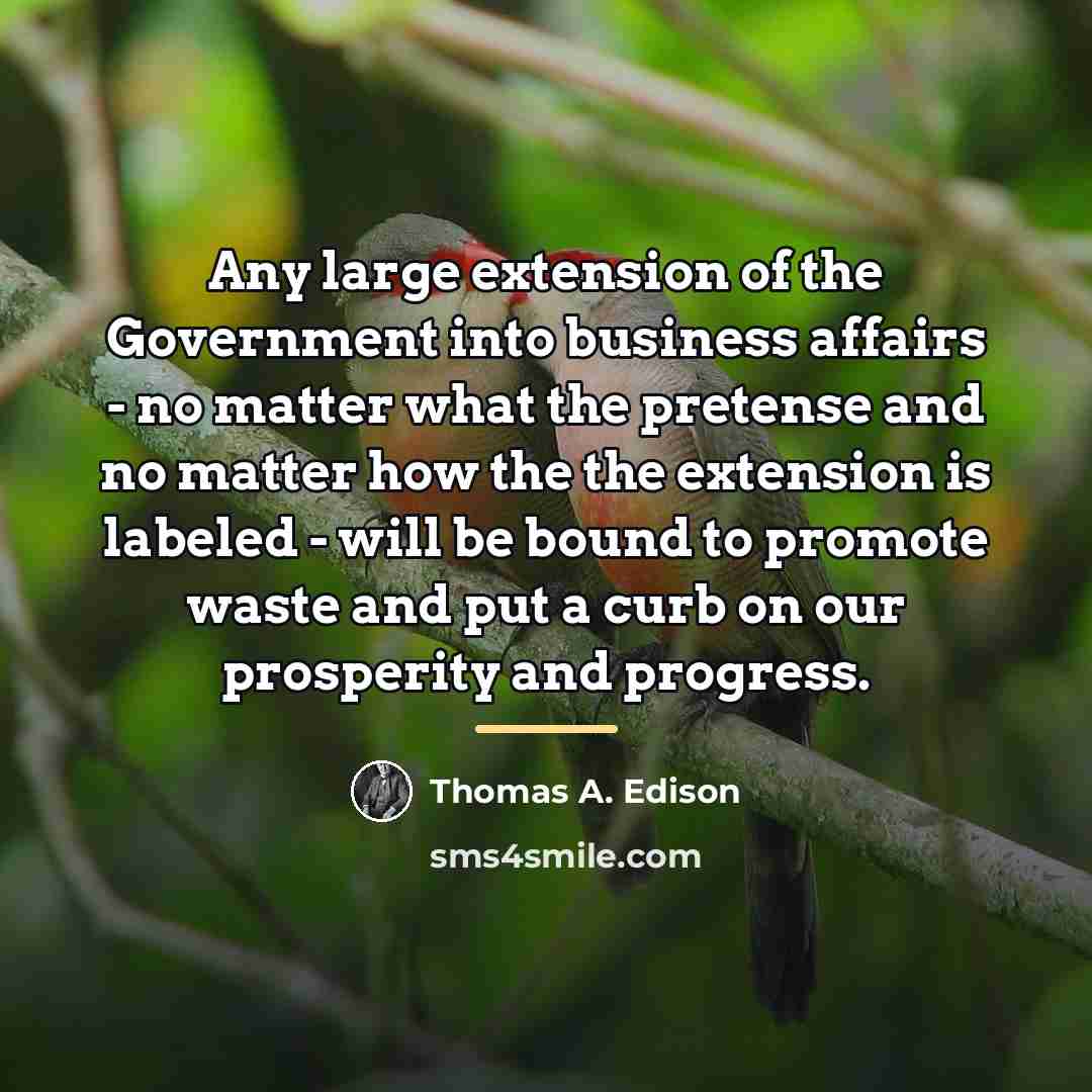 “Any large extension of the Government into business affairs -…” quote by Thomas A. Edison