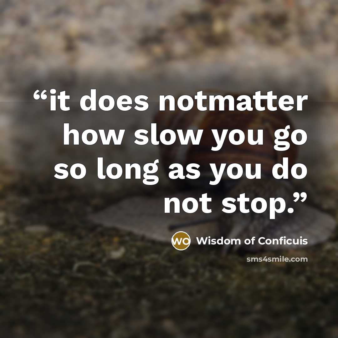 “it does notmatter how slow you go so long as you do not stop.” quote by Wisdom of Conficuis