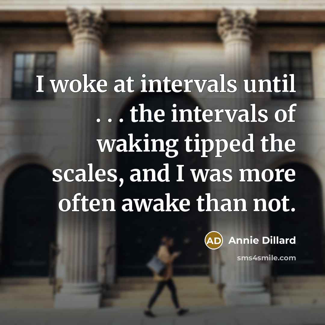 “I woke at intervals until . . . the intervals…” quote by Annie Dillard