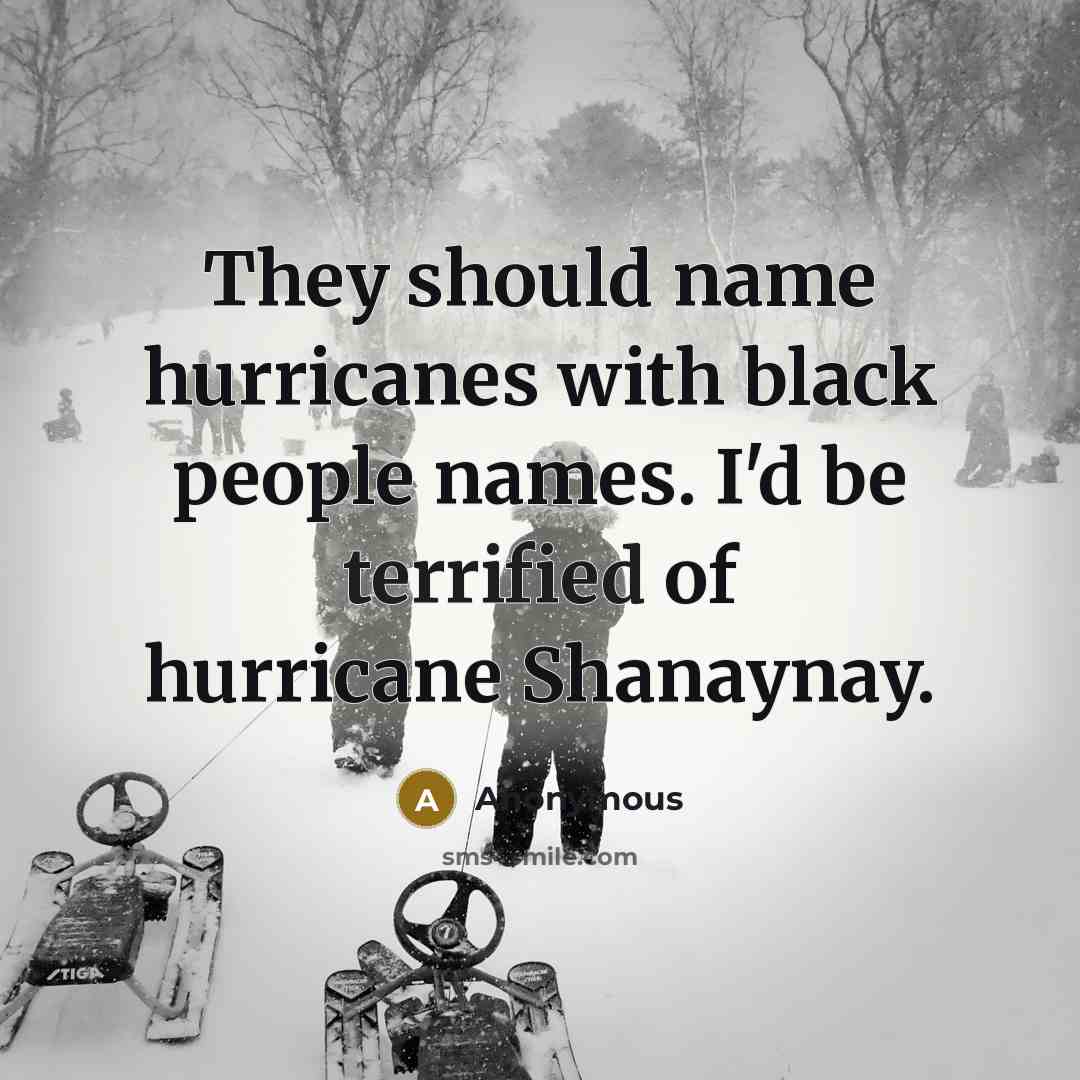 “They should name hurricanes with black people names. I'd be…” quote by Anonymous