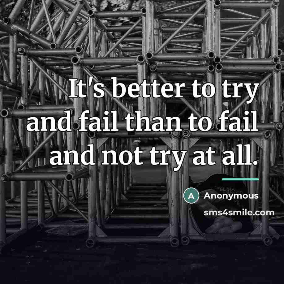 “It's better to try and fail than to fail and…” quote by Anonymous