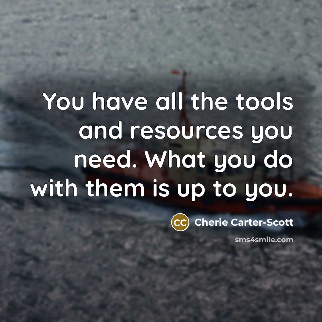 “You have all the tools and resources you need. What…” quote by Cherie Carter-Scott