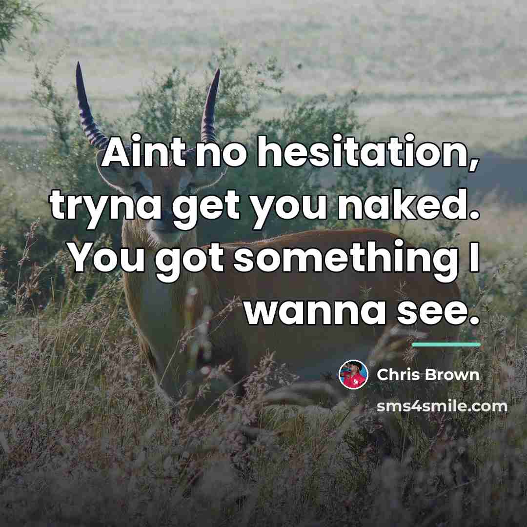 “Aint no hesitation, tryna get you naked. You got something…” quote by Chris Brown