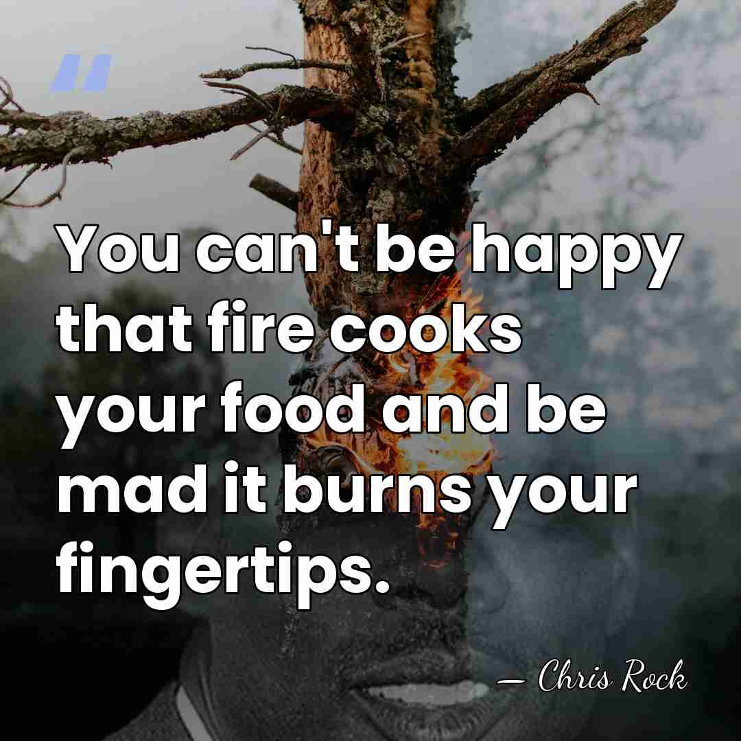 You can't be happy that fire cooks your food and be mad&hellip; - Chris Rock