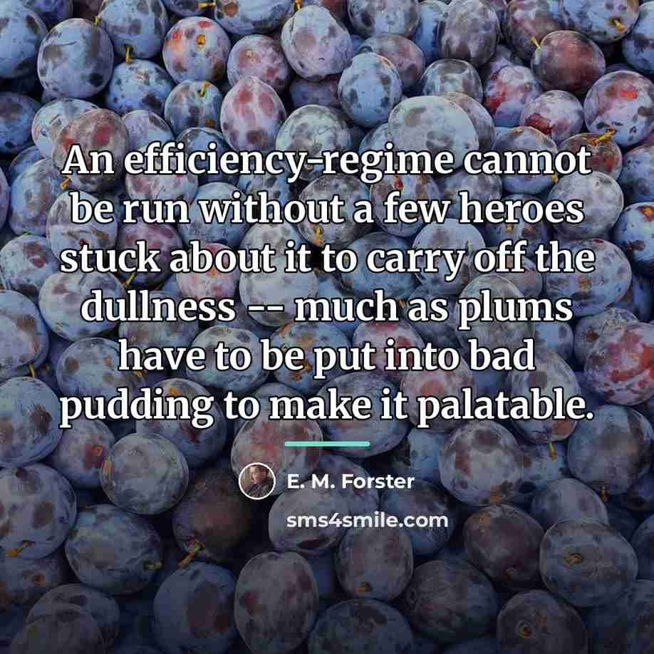 “An efficiency-regime cannot be run without a few heroes stuck…” quote by E. M. Forster