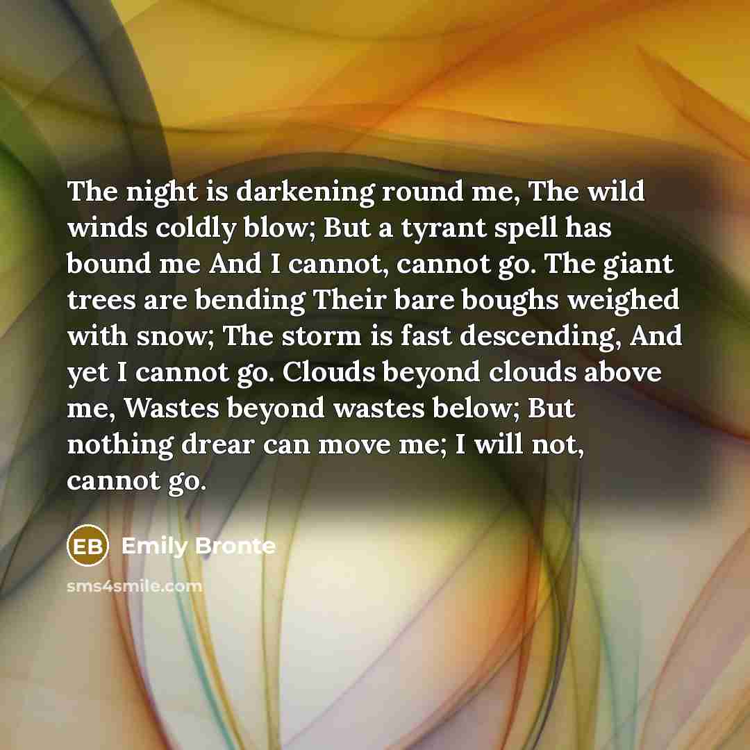 “The night is darkening round me, The wild winds coldly…” quote by Emily Bronte