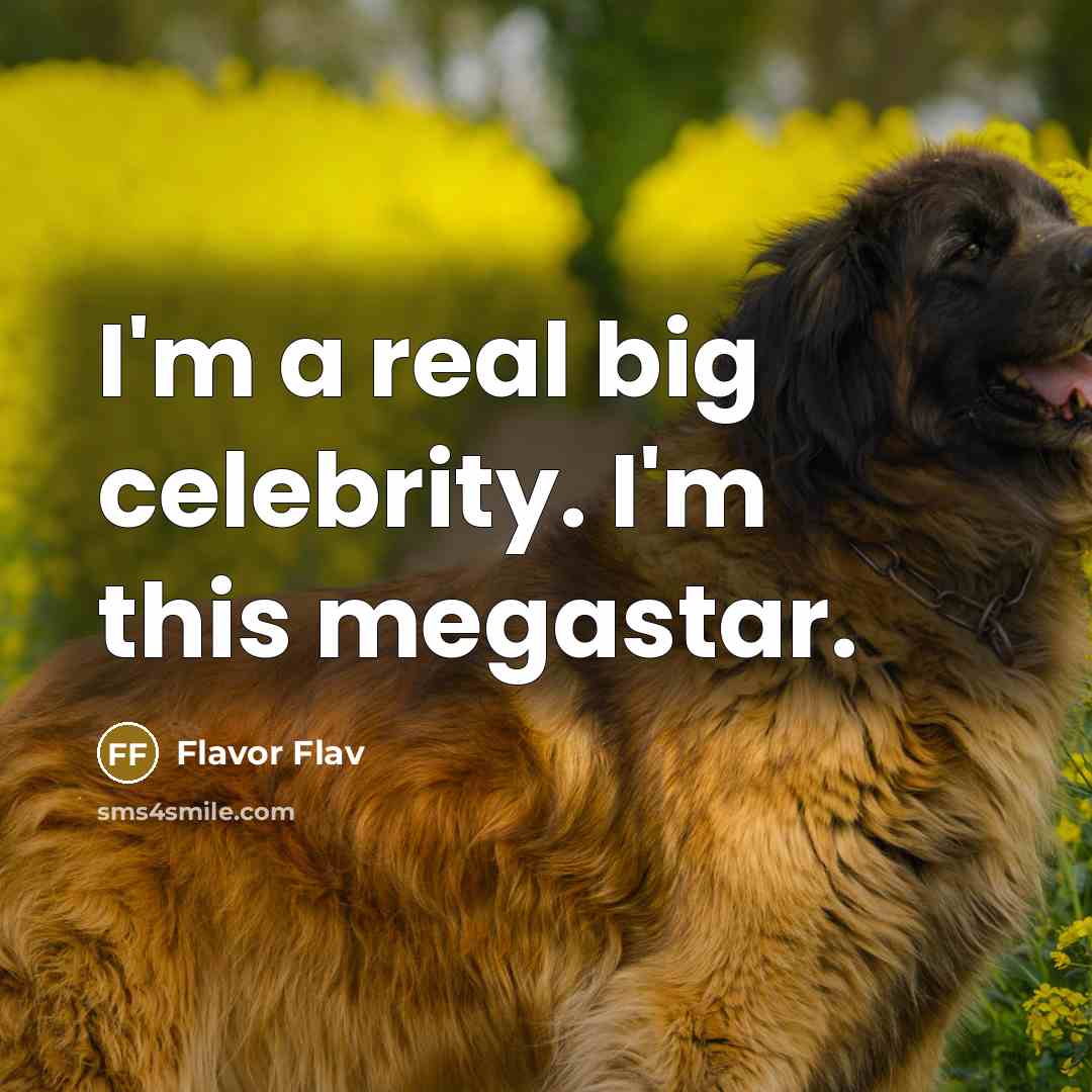 “I'm a real big celebrity. I'm this megastar.…” quote by Flavor Flav
