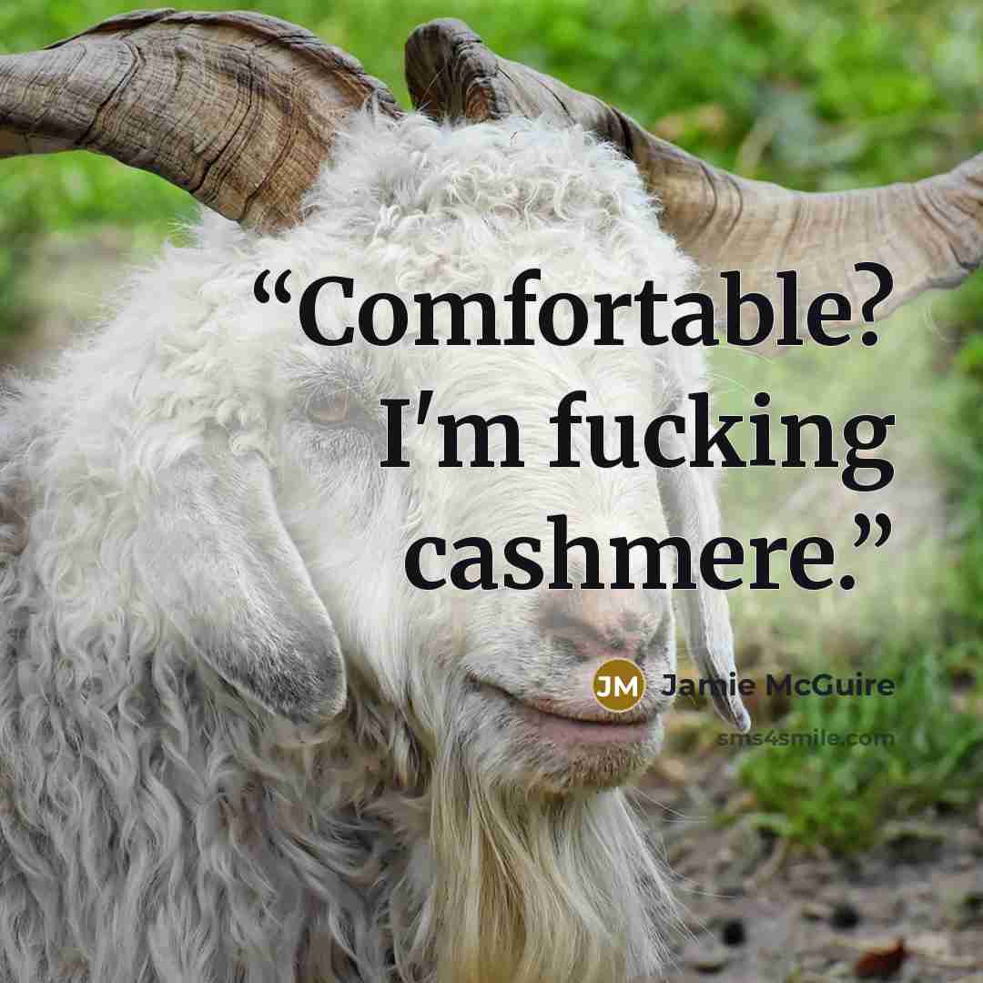 “Comfortable? I'm fucking cashmere.” quote by Jamie McGuire