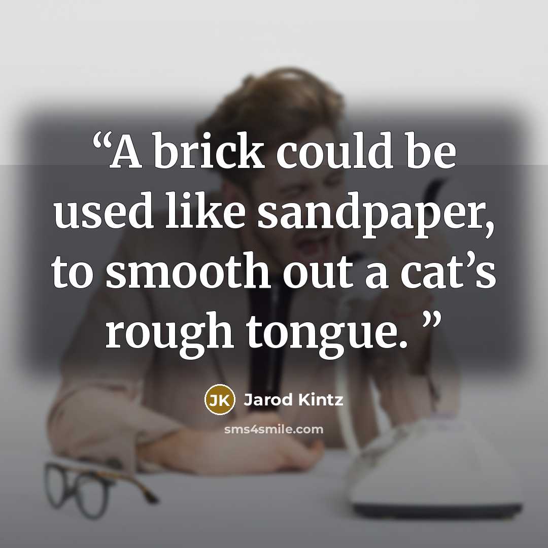 “A brick could be used like sandpaper, to smooth out a cat’s rough tongue.” quote by Jarod Kintz