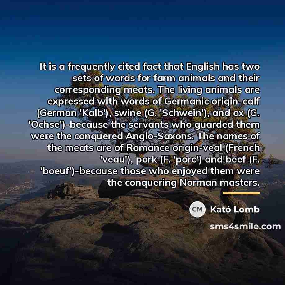 “It is a frequently cited fact that English has two…” quote by Kató Lomb