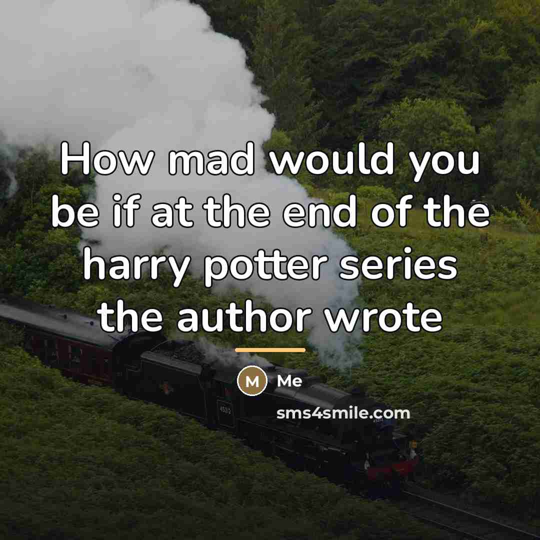 “How mad would you be if at the end of…” quote by Me