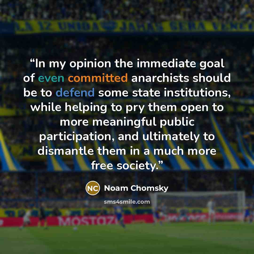 “In my opinion the immediate goal of even committed anarchists should be to defend some state institutions, while helping to pry them open to more meaningful public participation, and ultimately to dismantle them in a much more free society.” quote by Noam Chomsky