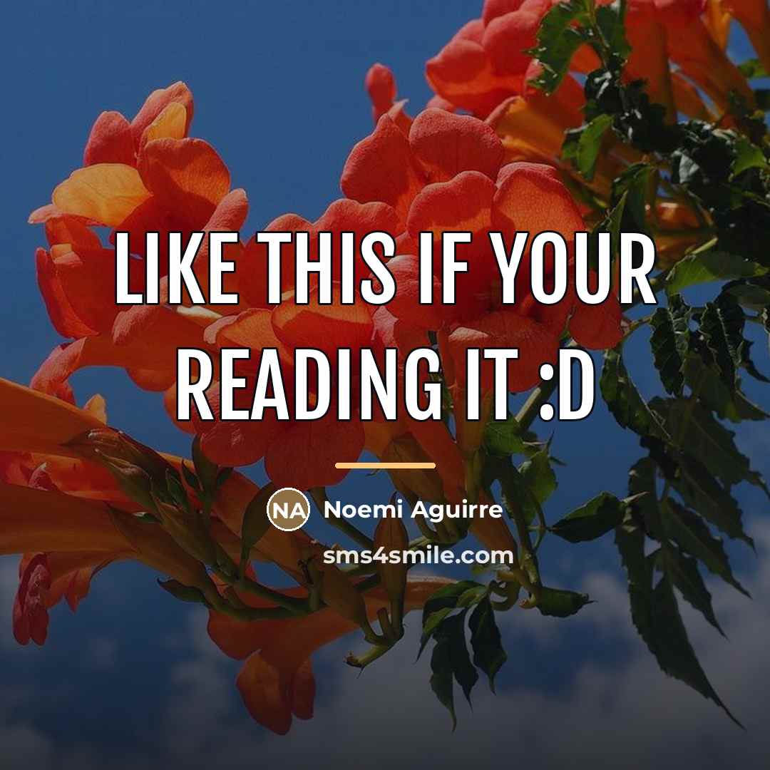 “LIKE this if your reading it :D…” quote by Noemi Aguirre