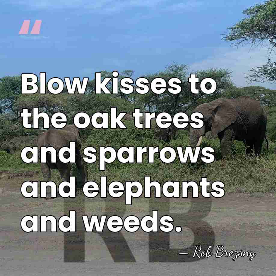 Blow kisses to the oak trees and sparrows and elephants and weeds. - Rob Brezsny