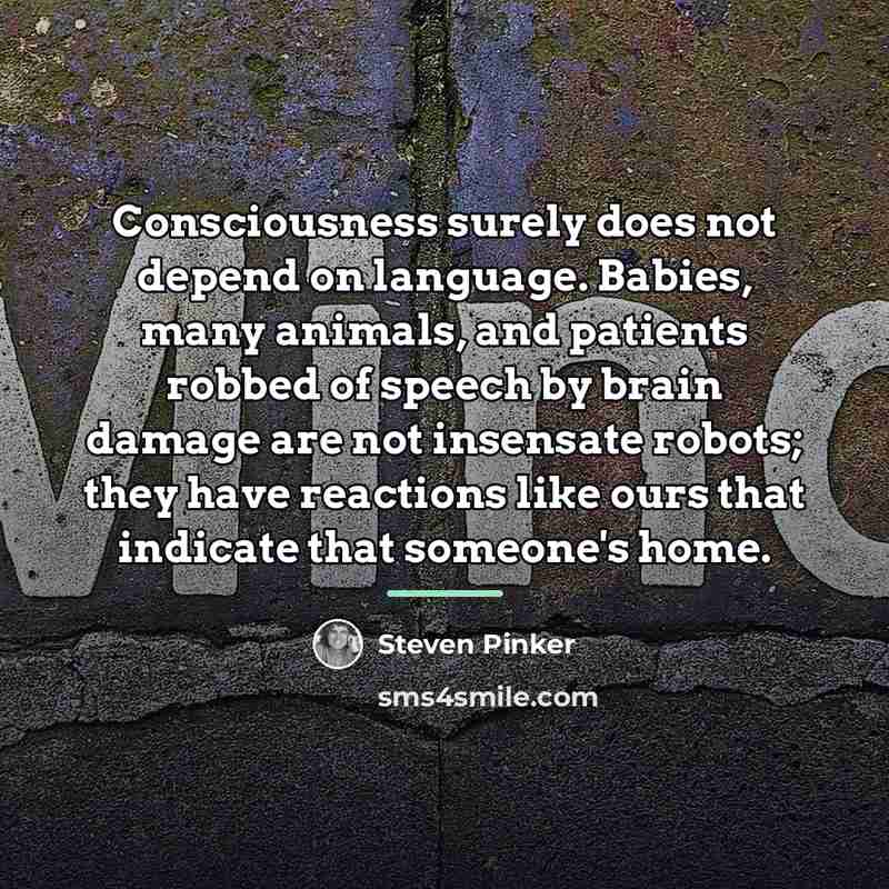 “Consciousness surely does not depend on language. Babies, many animals,…” quote by Steven Pinker