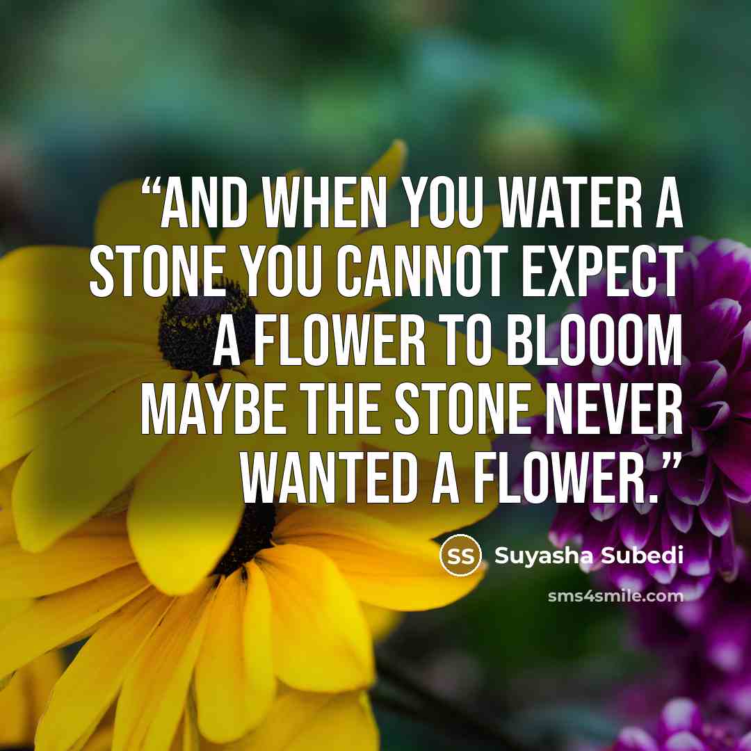 “And when you water a stone You cannot expect a flower to blooom Maybe the stone Never wanted a flower.” quote by Suyasha Subedi