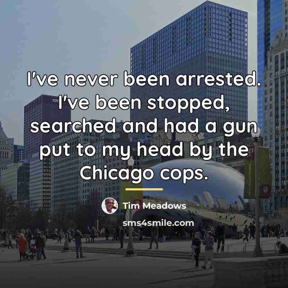 “I've never been arrested. I've been stopped, searched and had…” quote by Tim Meadows