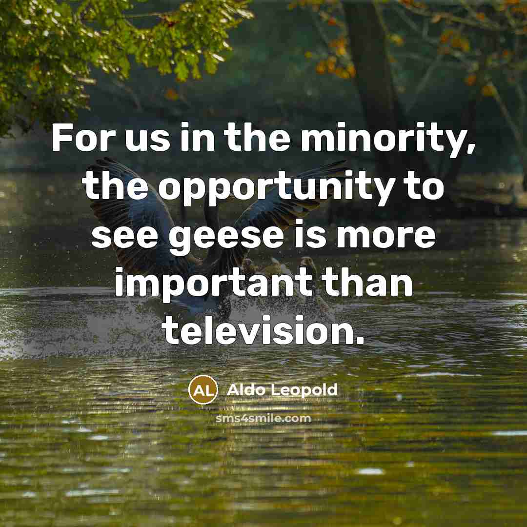 “For us in the minority, the opportunity to see geese…” quote by Aldo Leopold