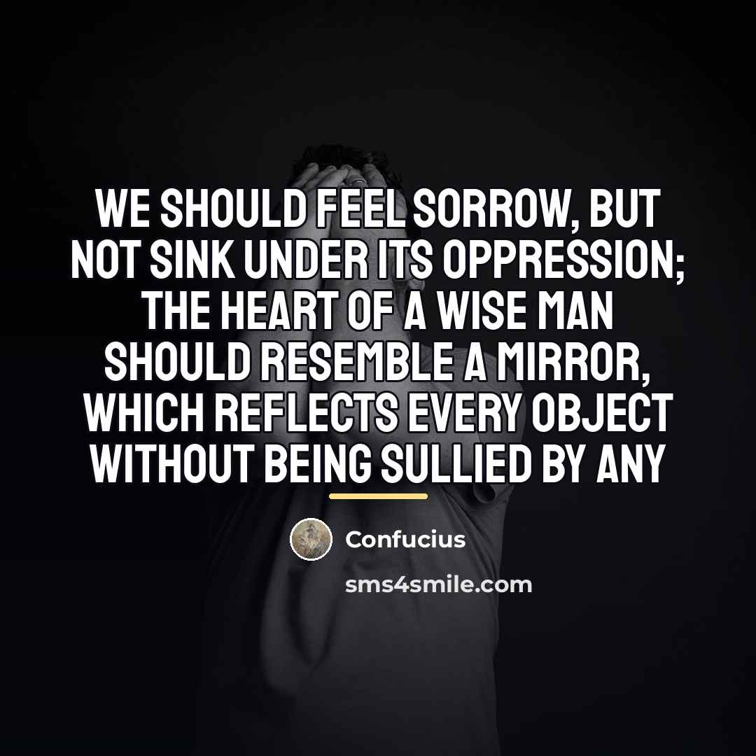 “We should feel sorrow, but not sink under its oppression;…” quote by Confucius