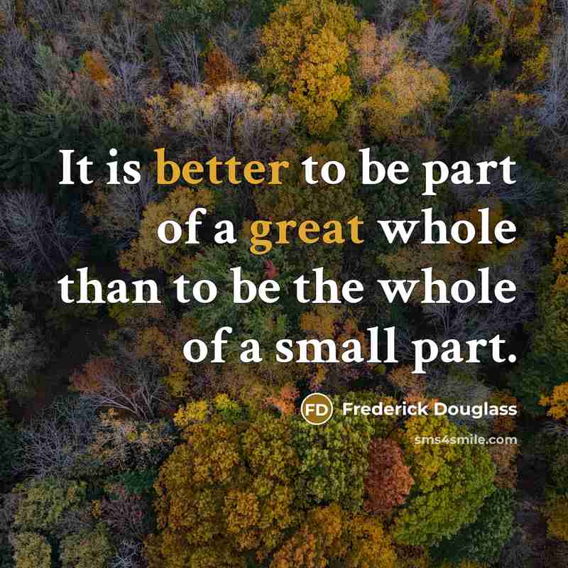 “It is better to be part of a great whole than to be the whole of a small part.” quote by Frederick Douglass