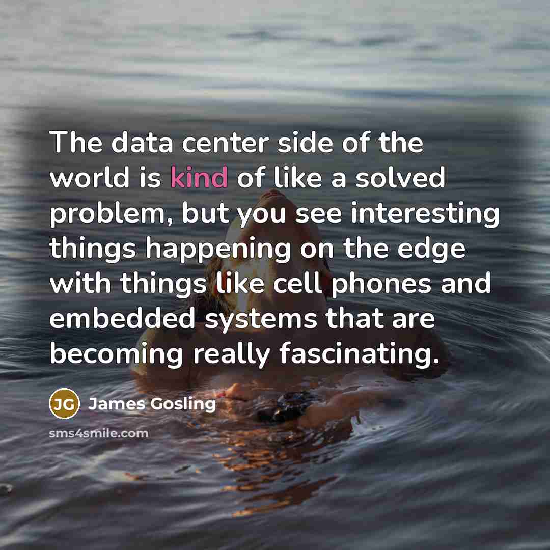 “The data center side of the world is kind of…” quote by James Gosling