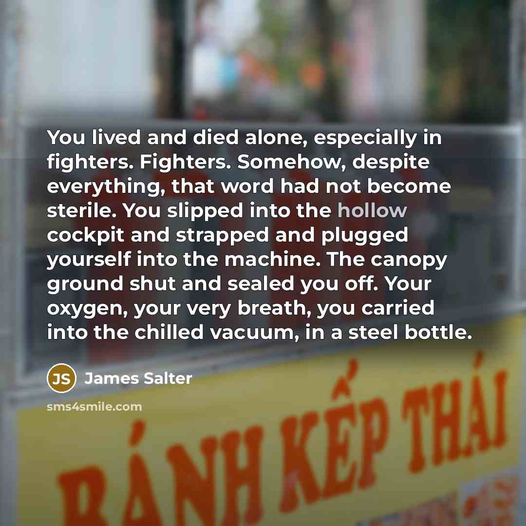 “You lived and died alone, especially in fighters. Fighters. Somehow,…” quote by James Salter