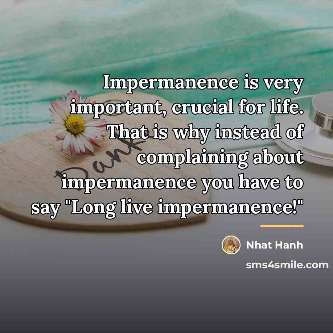 “Impermanence is very important, crucial for life. That is why…” quote by Nhat Hanh