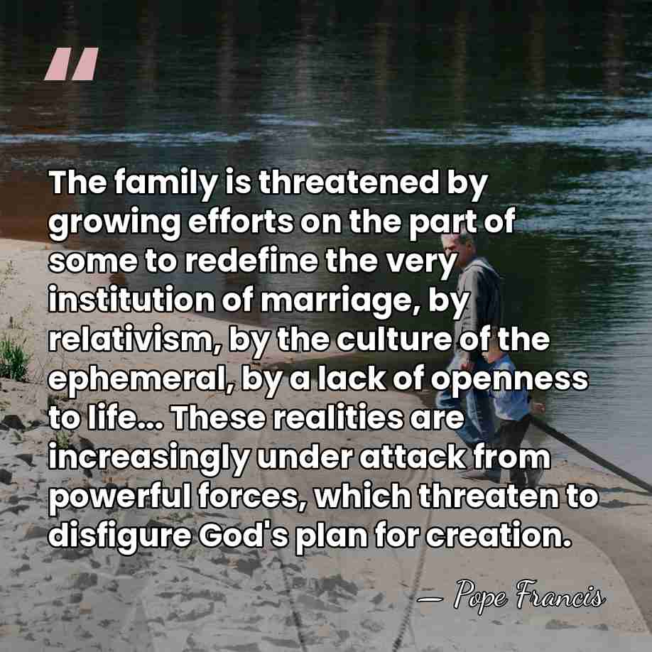 The family is threatened by growing efforts on the part of some&hellip; - Pope Francis