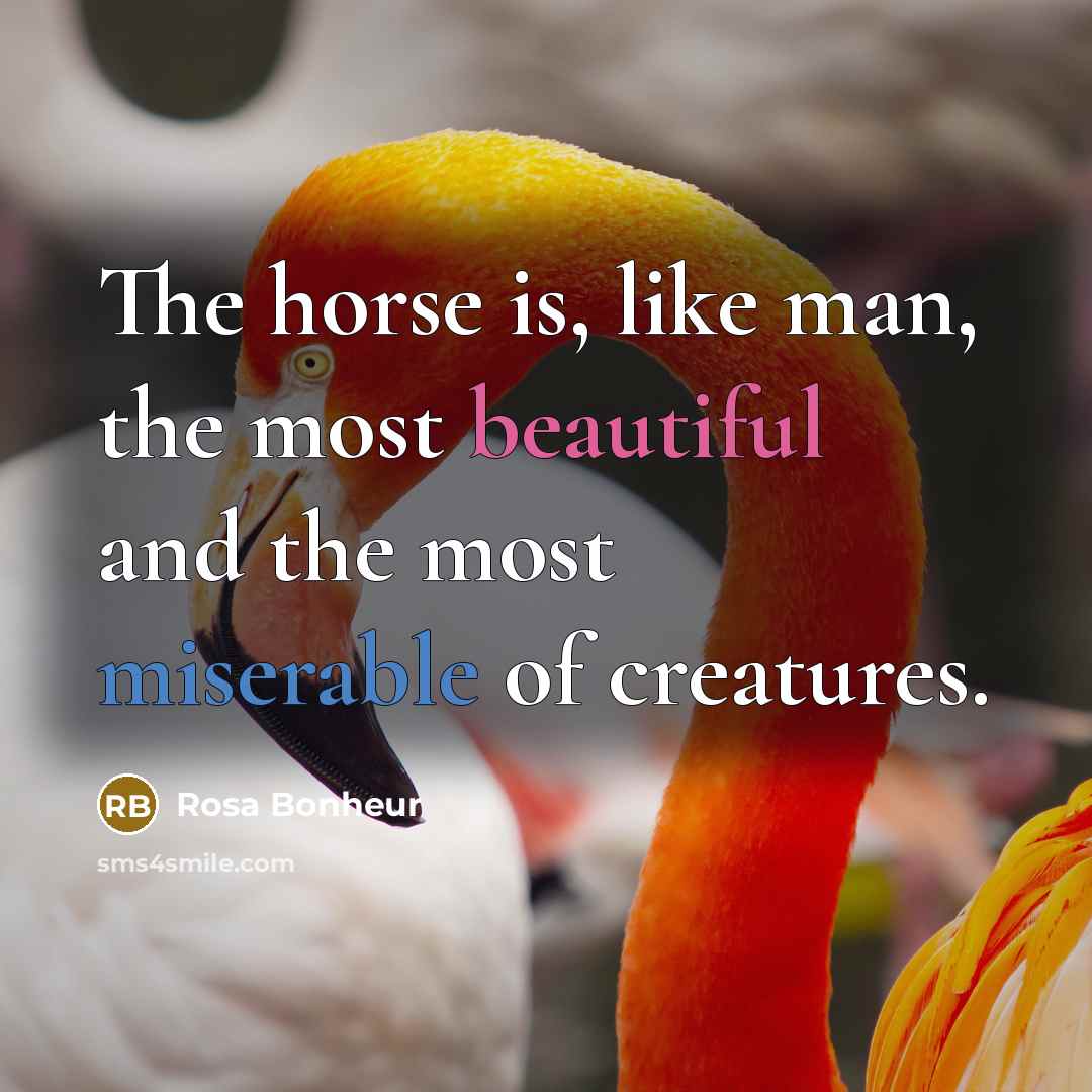 “The horse is, like man, the most beautiful and the…” quote by Rosa Bonheur